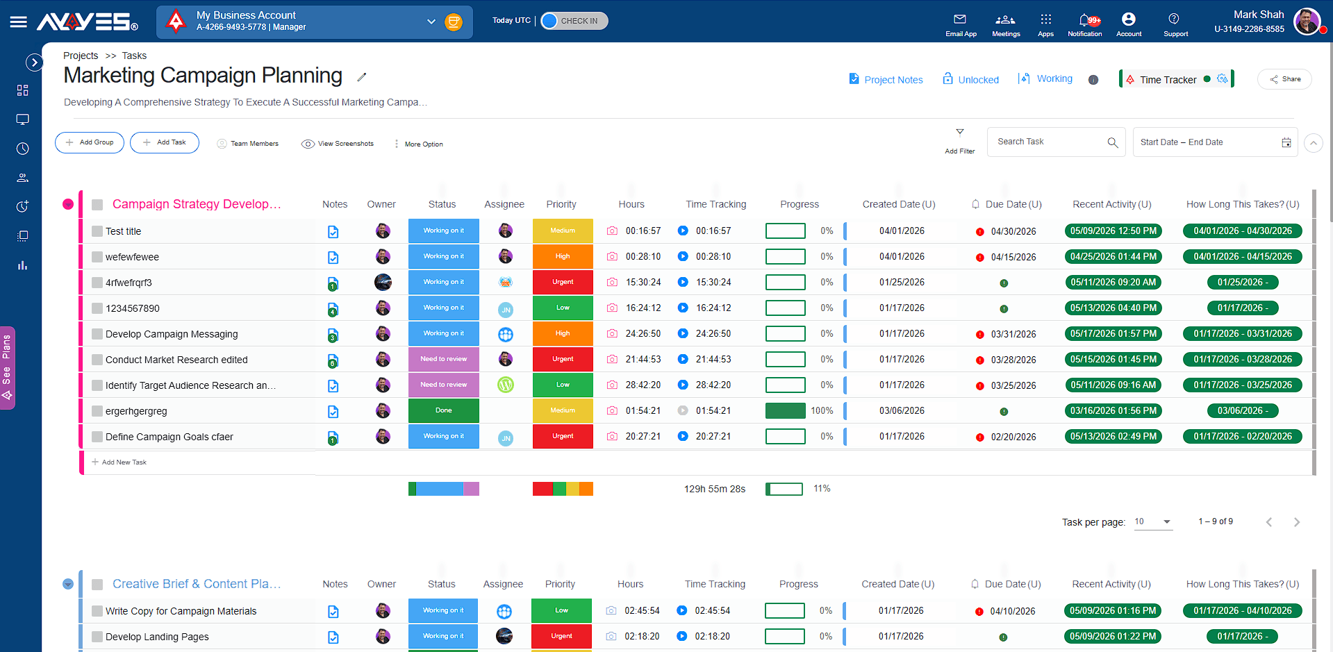 AYYES task management