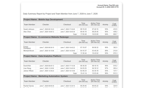 daily summary timesheet