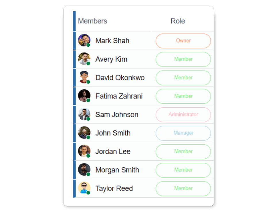 team members role