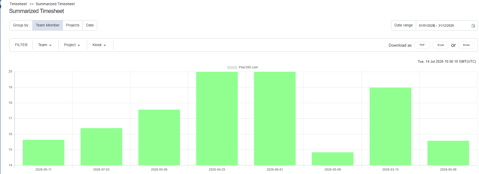 AYYES Summarized Timesheet Reports