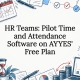 Decorative time attendance software title card