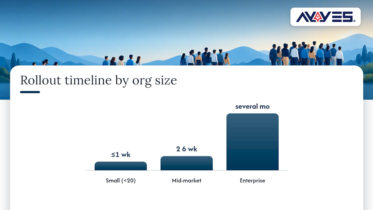 Implementation timeline by organization size