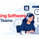 Time tracking software remote team